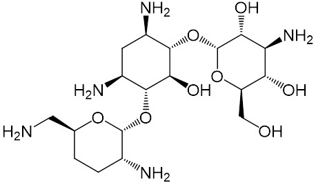 ジベカシン / ことり さんのイラスト ニコニコ静画 (イラスト)