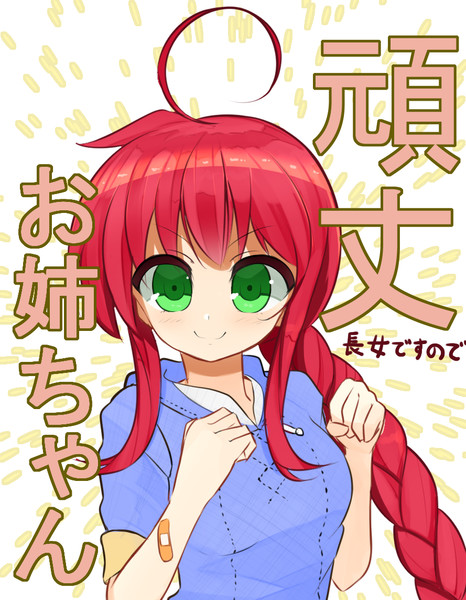 頑丈お姉ちゃん そにんてんどう さんのイラスト ニコニコ静画 イラスト