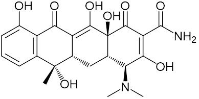 テトラサイクリン