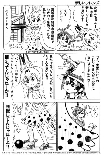 新しいフレンズ