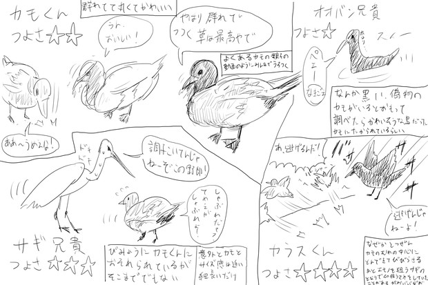 水辺の野鳥 強さランキング 入院 さんのイラスト ニコニコ静画 イラスト