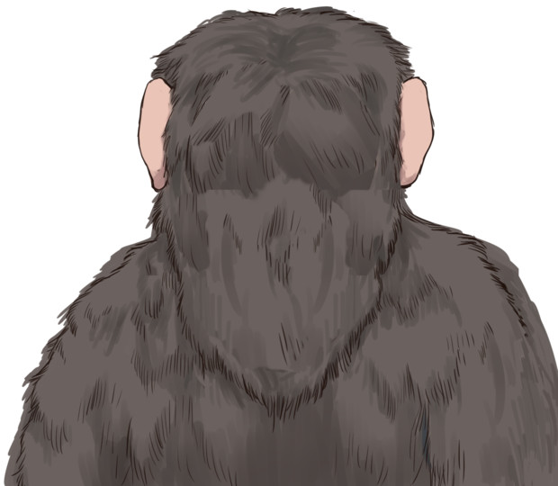 うき猿 後ろ姿 アンデス さんのイラスト ニコニコ静画 イラスト