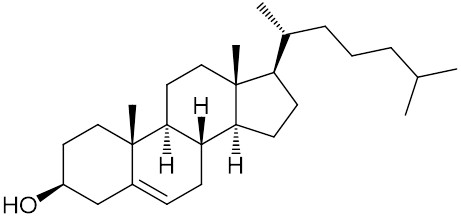 コレステロール