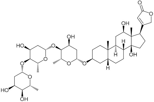 ジゴキシン / ことり さんのイラスト ニコニコ静画 (イラスト)