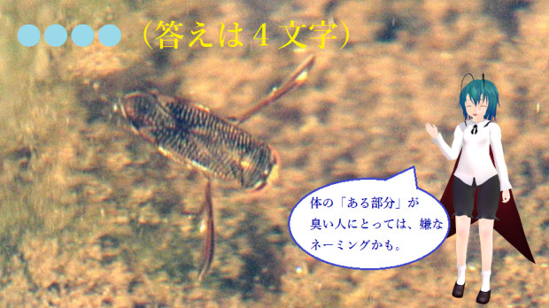 冬休み企画クイズ マイナー昆虫列伝 その1 水生昆虫 Mn 都市伝説p さんのイラスト ニコニコ静画 イラスト