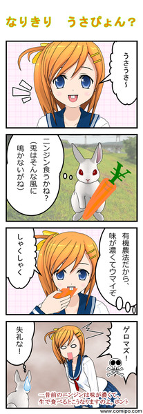 なりきり うさぴょん Midorikodan さんのイラスト ニコニコ静画 イラスト