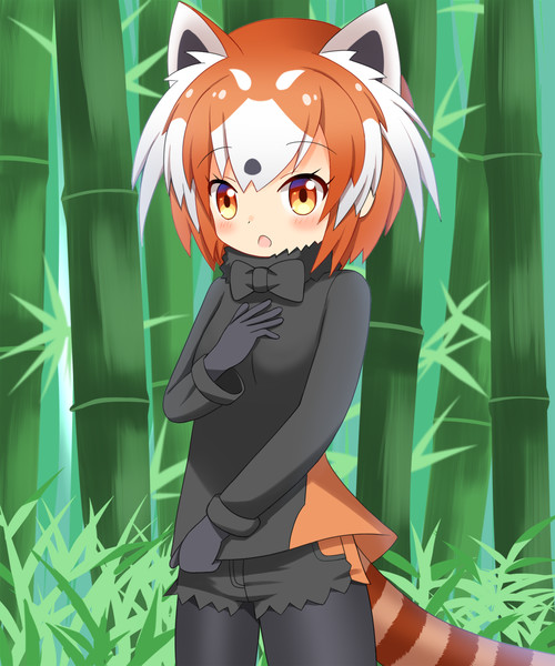 レッサーパンダちゃん Go Shin さんのイラスト ニコニコ静画 イラスト