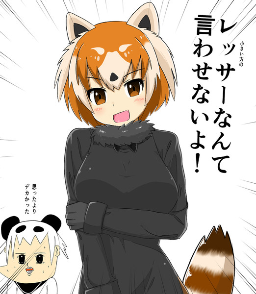 あっ レッサーパンダだ なるたけ さんのイラスト ニコニコ静画 イラスト