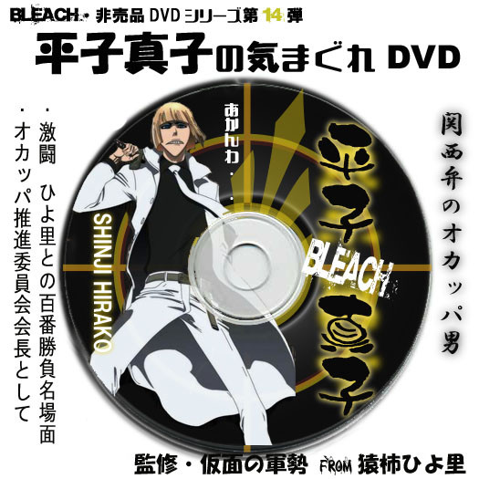 平子真子DVD(非売品)