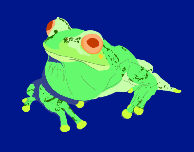 アマガエルのオーストリッチ 木津多祢 さんのイラスト ニコニコ静画 イラスト