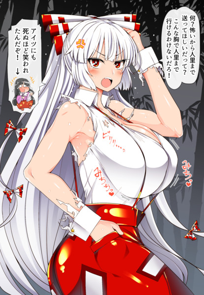 なんかいつの間にか爆乳になってたもこたんを困らせたい 悪いお友達roki さんのイラスト ニコニコ静画 イラスト