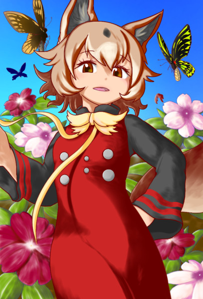ニューギニアハイランドワイルドドッグ ボコボコ さんのイラスト ニコニコ静画 イラスト