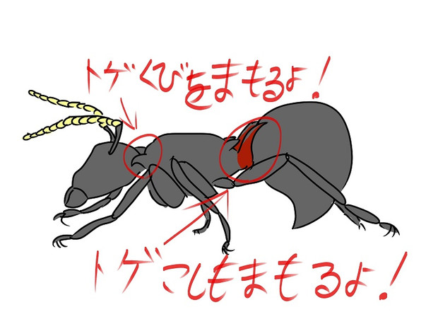 超エロい とりあえず な さんのイラスト ニコニコ静画 イラスト