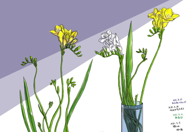 絵の勉強をしよう 花を模写してみた 彩色３ 絵の勉強をしたくて さんのイラスト ニコニコ静画 イラスト
