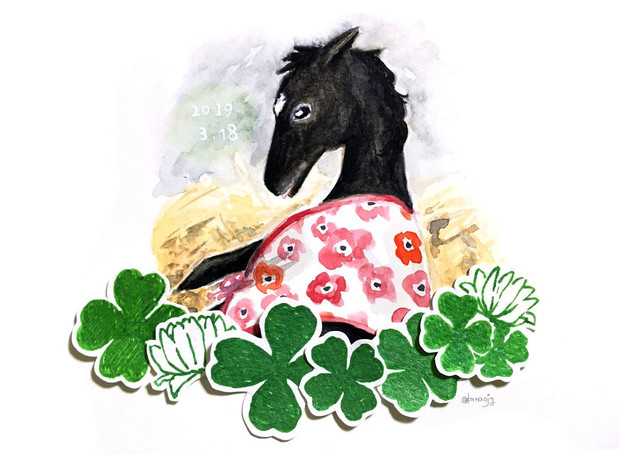 何しても可愛い