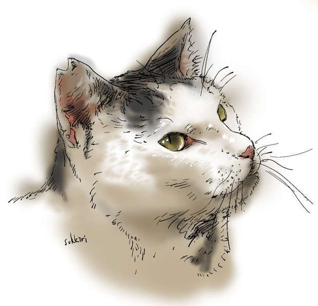 猫 模写 Sukkiri さんのイラスト ニコニコ静画 イラスト