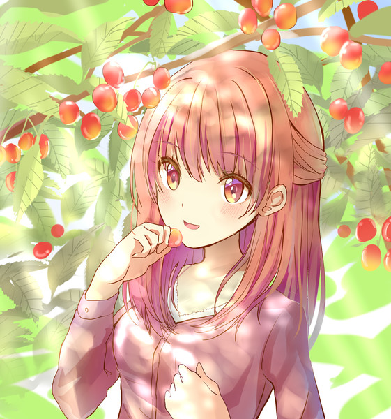 サクランボ狩り ぬこ さんのイラスト ニコニコ静画 イラスト