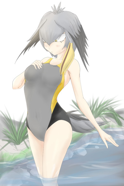 競泳水着ハシビロコウちゃん ぐれ さんのイラスト ニコニコ静画 イラスト