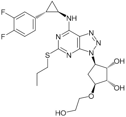 チカグレロル / ことり さんのイラスト ニコニコ静画 (イラスト)