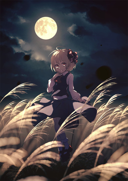 芒に月 ぢせ さんのイラスト ニコニコ静画 イラスト