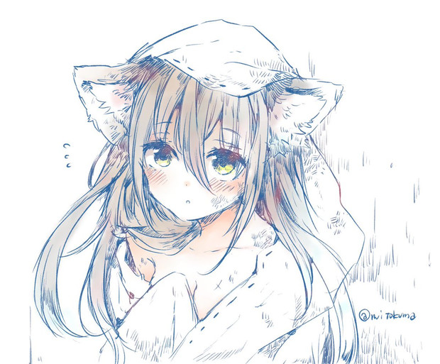 お嫁さんにしてくれる ミト 狼の皮をかぶった羊姫連載中 さんのイラスト ニコニコ静画 イラスト