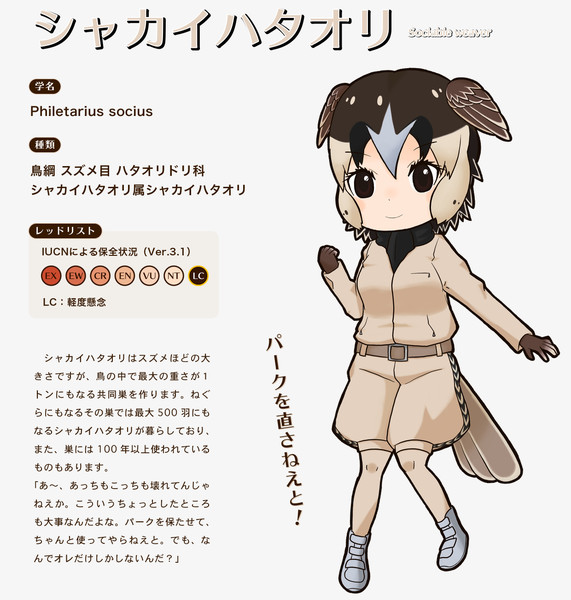 シャカイハタオリ