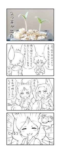 ケムリクサ栽培キット
