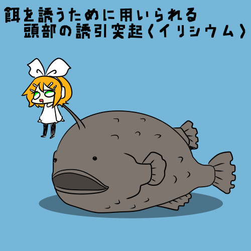 あんこうとリン Nanaknomonme さんのイラスト ニコニコ静画 イラスト