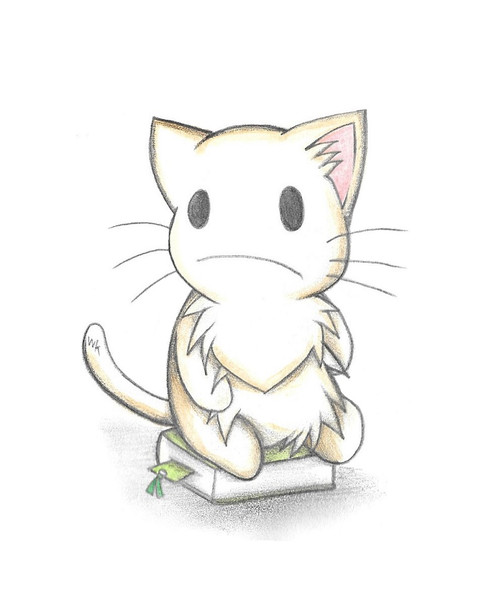 本の上に座るにゃんこ