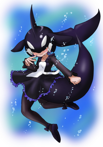 シャチちゃん アダンソステガ さんのイラスト ニコニコ静画 イラスト
