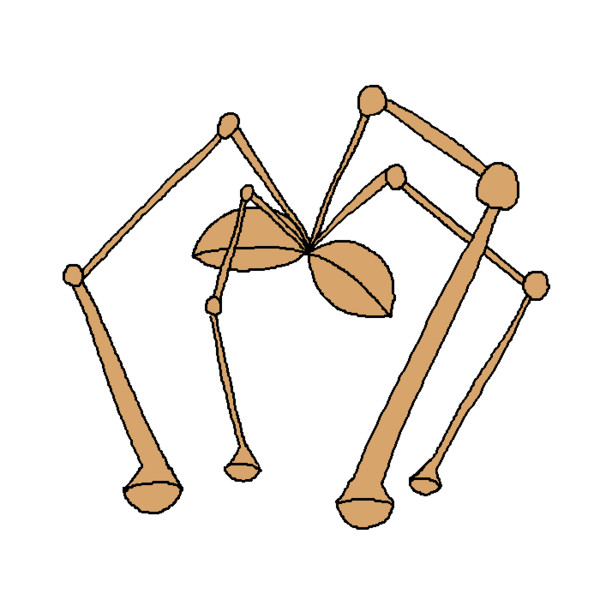 オニシズクモ！？