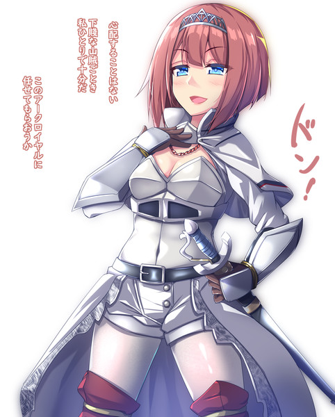 姫騎士アー様が征く 黒胡椒 さんのイラスト ニコニコ静画 イラスト