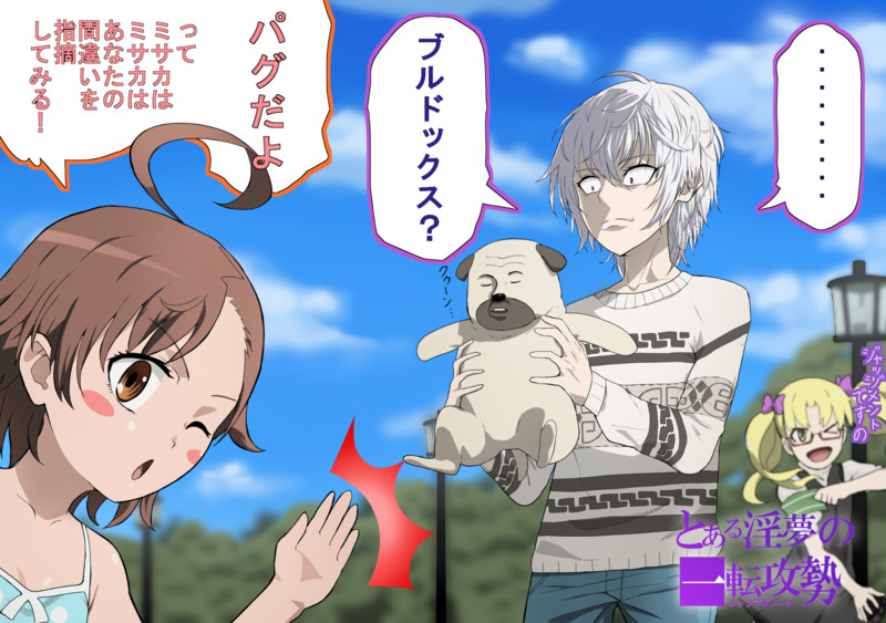 ラストオーダー Nicosub静画