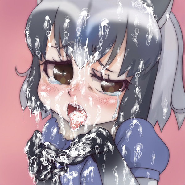 アライグマ けものフレンズ Nicosub静画