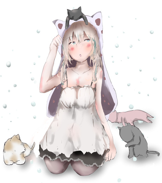 猫と猫耳少女 Stingacccer さんのイラスト ニコニコ静画 イラスト