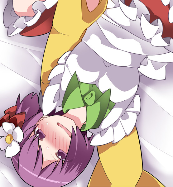 メイドの阿求を押し倒す ハマー さんのイラスト ニコニコ静画 イラスト