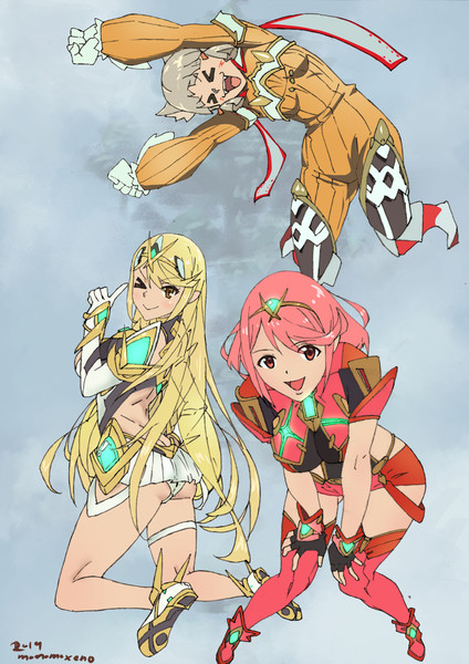ゼノブレイド スリーブ 2種 ヒカリ ホムラ