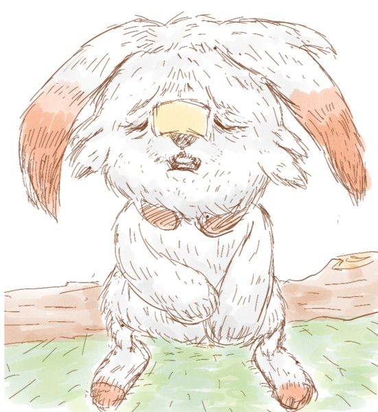 しわしわヒバニー る系ポポキオン さんのイラスト ニコニコ静画 イラスト