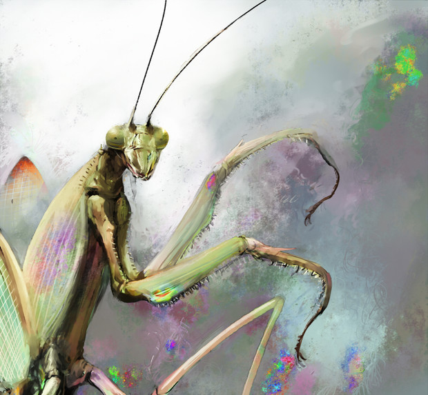 カマキリ バイト さんのイラスト ニコニコ静画 イラスト