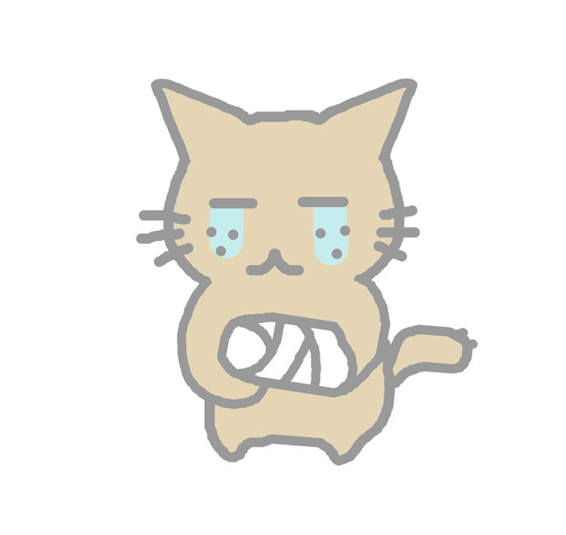 骨折 猫のドン ふじ子 デラックス さんのイラスト ニコニコ静画 イラスト